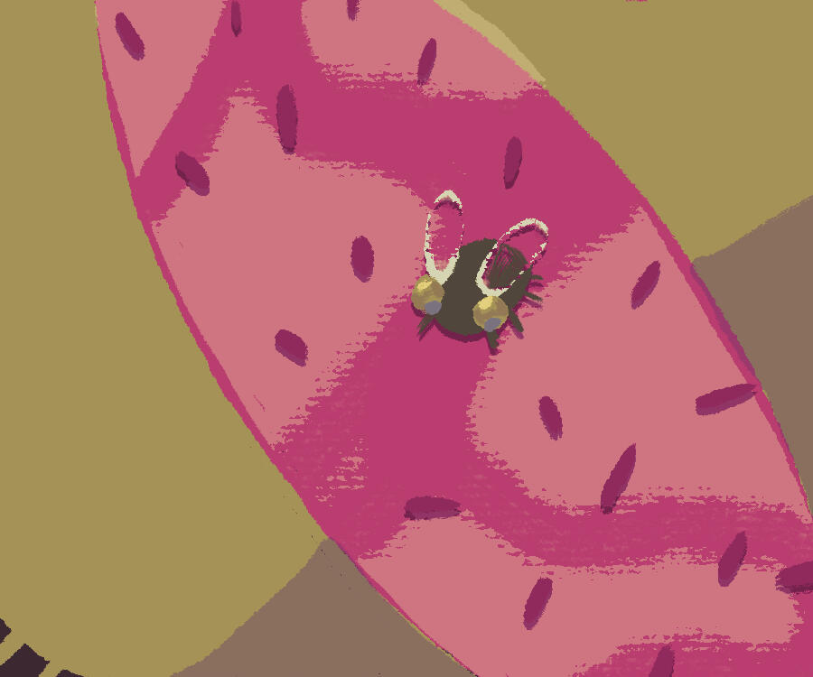 Fly on a Venus Flytrap