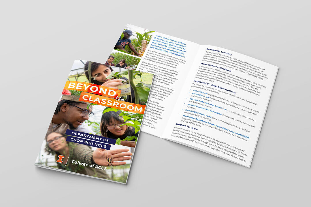 Class Curriculum Pamphlet